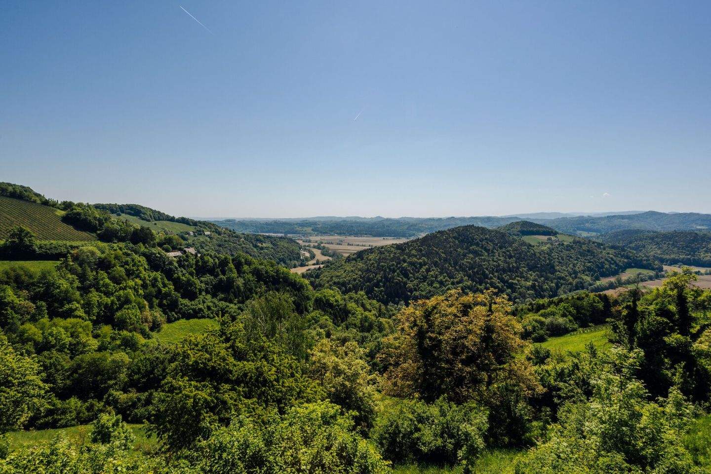  Land in Kitzeck im Sausal, Austria No. 231215