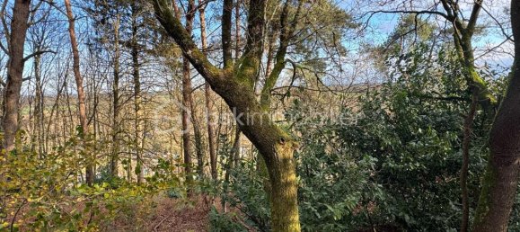Casa de 3 dormitorios en Andouille, France No. 100952 7