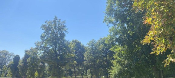 1 room Warehouse in Brigittenau, Austria No. 129403 6