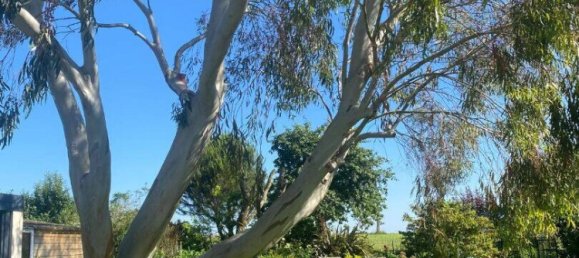 6 bedrooms House in Clohars-Carnoet, France No. 196904 2