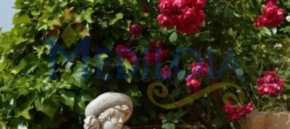 Castillos de 6 dormitorios en Silves, Portugal No. 129264 27