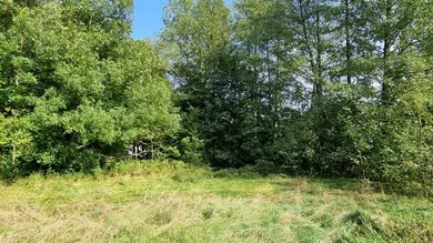 Terrain à Pressbaum, Austria No. 30480