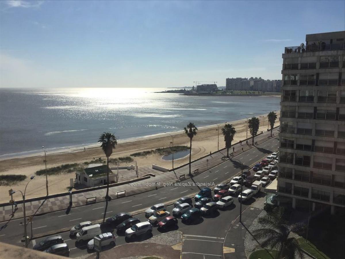 3 bedrooms Apartment in Montevideo, Uruguay No. 7282
