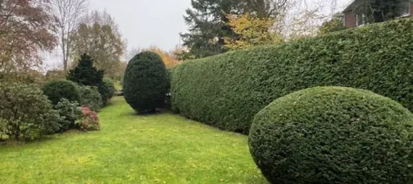 Adosado de 10 habitaciónes en Harburg, Germany No. 51193 17