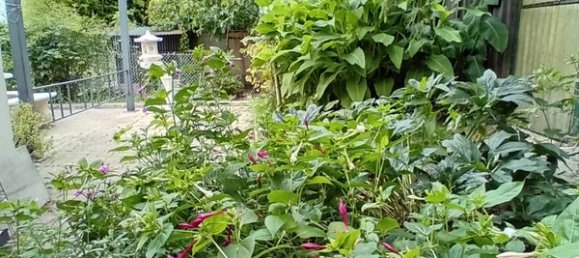 Casa T4 em Bonneveau, France N.º 250068 24