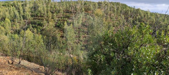  قطعة أرض في Marmelete, Portugal 112500متر مربع رقم 43212 13