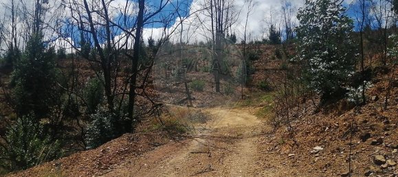  قطعة أرض في Marmelete, Portugal 112500متر مربع رقم 43212 5