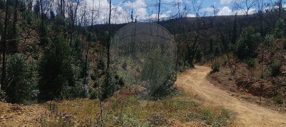  قطعة أرض في Marmelete, Portugal 112500متر مربع رقم 43212 3