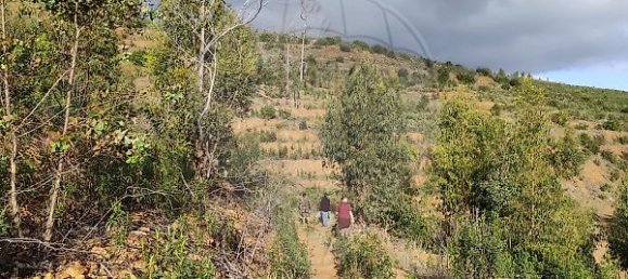  قطعة أرض في Marmelete, Portugal 112500متر مربع رقم 43212 10