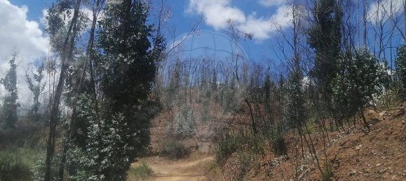  قطعة أرض في Marmelete, Portugal 112500متر مربع رقم 43212 6