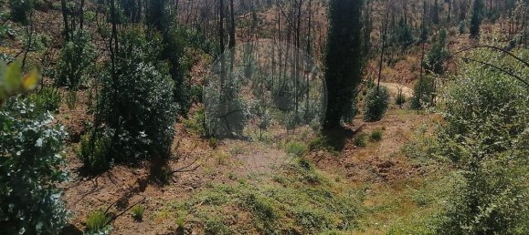  قطعة أرض في Marmelete, Portugal 112500متر مربع رقم 43212 2