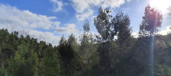  قطعة أرض في Marmelete, Portugal 112500متر مربع رقم 43212 9