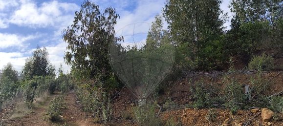  قطعة أرض في Marmelete, Portugal 112500متر مربع رقم 43212 11