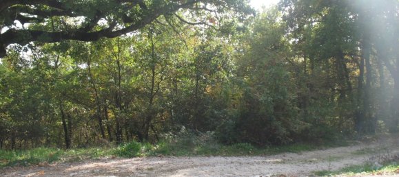 3040m² Land in Oratino, Italy No. 374445 4