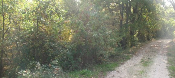 3040m² Land in Oratino, Italy No. 374445 5