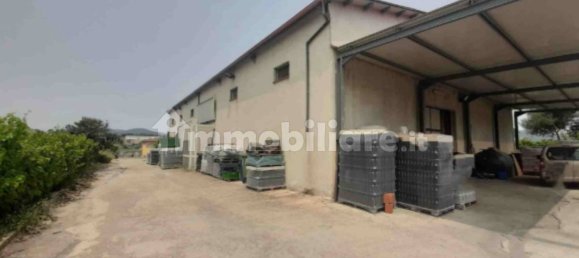 5 rooms Warehouse in Oliena, Italy No. 376274 2