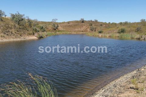  قطعة أرض في Sao Bartolomeu de Messines, Portugal 320متر مربع رقم 212805