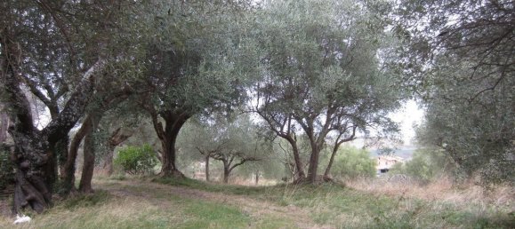 15-Zimmer Haus in Cingoli, Italy, Nr. 238549 3