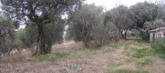 15-Zimmer Haus in Cingoli, Italy, Nr. 238549 9