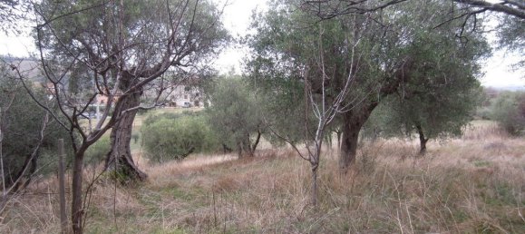 15-Zimmer Haus in Cingoli, Italy, Nr. 238549 11