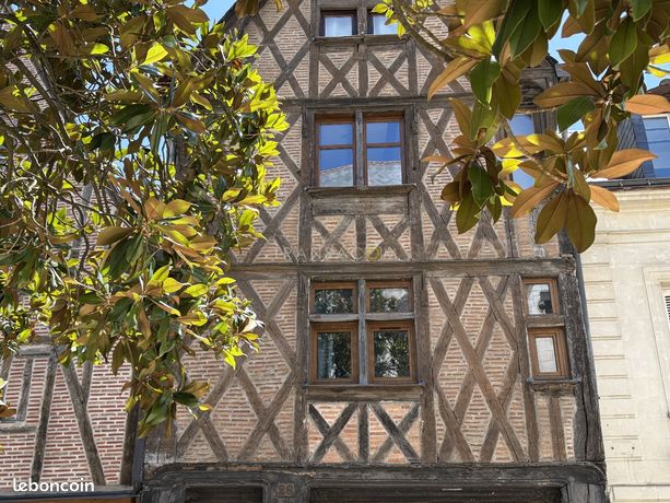 1 Schlafzimmer Wohnung in Tours, France, Nr. 312219