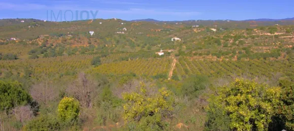  Land in Tavira, Portugal No. 73316 24