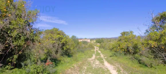  Land in Tavira, Portugal No. 73316 20