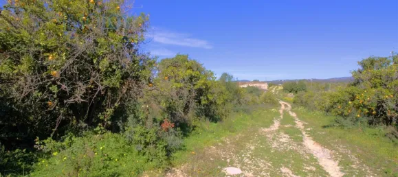  Land in Tavira, Portugal No. 73316 23