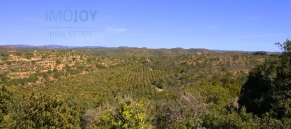  Land in Tavira, Portugal No. 73316 28