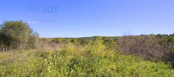  Land in Tavira, Portugal No. 73316 3