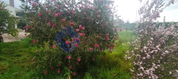 3 bedrooms House in Ferreira do Zezere, Portugal No. 14500 24