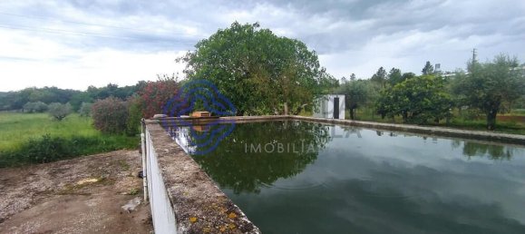 3 bedrooms House in Ferreira do Zezere, Portugal No. 14500 21