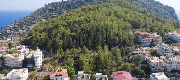 Villa 1+1 in Alanya, Turkey No. 17781 15