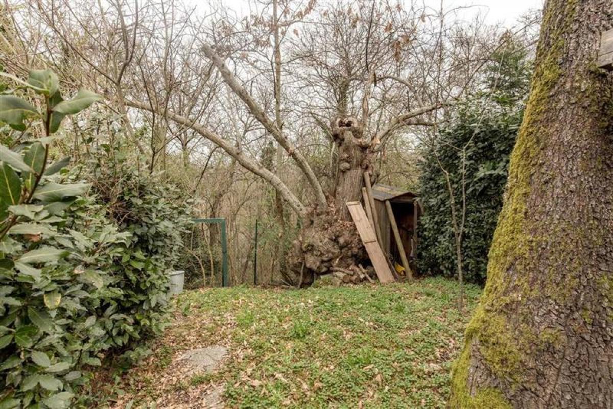 Studio in Florence, Italy No. 60