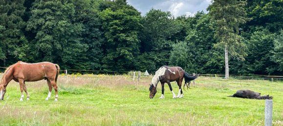 Bungalow T2 em Rendsburg-Eckernforde, Germany N.º 366090 2