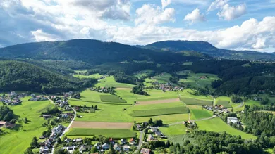 Земельный участок в Вайнитцен, Австрия № 203406