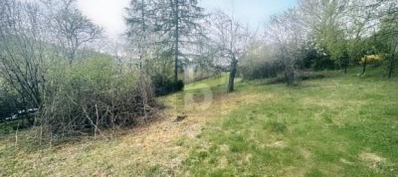 Terrain à Calw, Germany 1605m² No. 334028 2