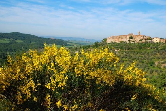 3 bedrooms Apartment in Trequanda, Italy No. 174272