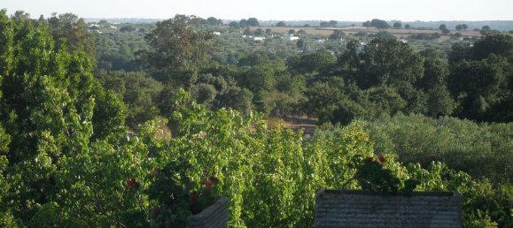 Casa T6 em Monopoli, Italy N.º 363679 35