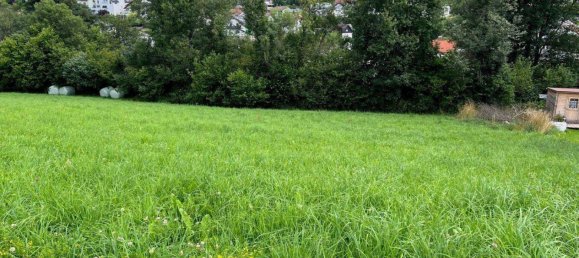  Land in Zobern, Austria No. 163208 4