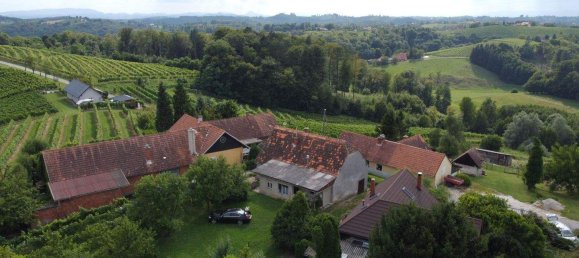 4-Zimmer Gewerbliche Immobilie in Bad Radkersburg, Austria, Nr. 129601 14