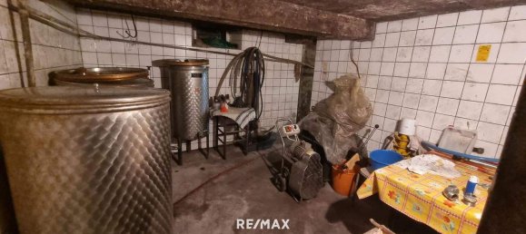 4-Zimmer Gewerbliche Immobilie in Bad Radkersburg, Austria, Nr. 129601 28