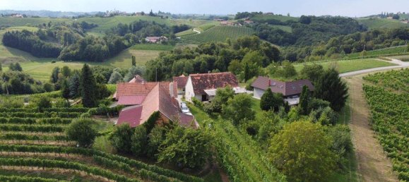 4-Zimmer Gewerbliche Immobilie in Bad Radkersburg, Austria, Nr. 129601 10