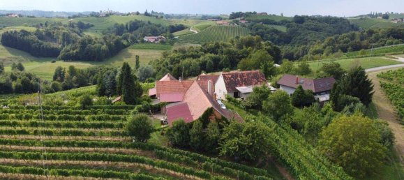 4-Zimmer Gewerbliche Immobilie in Bad Radkersburg, Austria, Nr. 129601 13