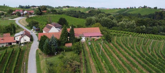 4-Zimmer Gewerbliche Immobilie in Bad Radkersburg, Austria, Nr. 129601 6