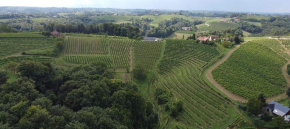 4-Zimmer Gewerbliche Immobilie in Bad Radkersburg, Austria, Nr. 129601 9