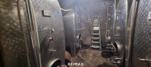 4-Zimmer Gewerbliche Immobilie in Bad Radkersburg, Austria, Nr. 129601 36