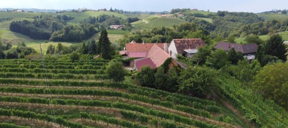 4-Zimmer Gewerbliche Immobilie in Bad Radkersburg, Austria, Nr. 129601 3