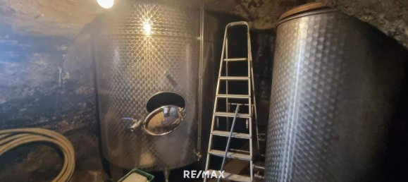 4-Zimmer Gewerbliche Immobilie in Bad Radkersburg, Austria, Nr. 129601 24