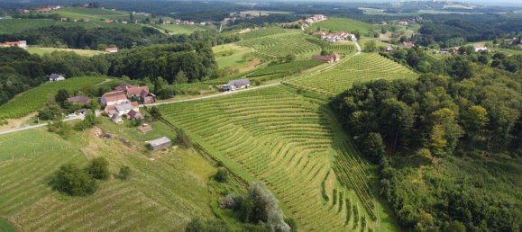 4-Zimmer Gewerbliche Immobilie in Bad Radkersburg, Austria, Nr. 129601 5